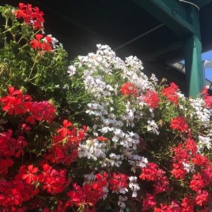 Meet your Posher, Mary ann